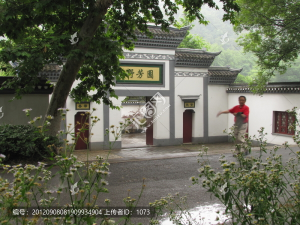 春雨野芳園