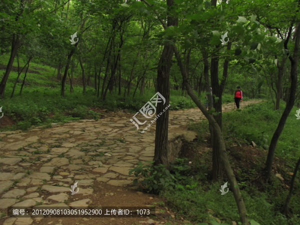 漫漫古道