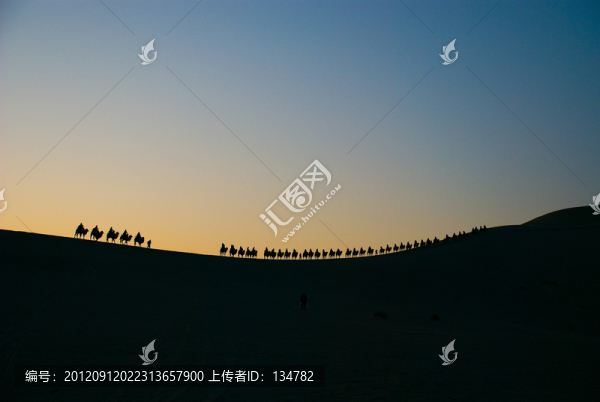 駱駝剪影
