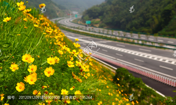 高速公路
