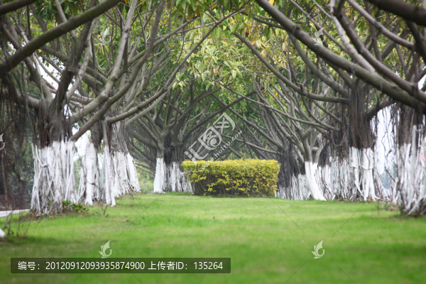 廈門環(huán)島路