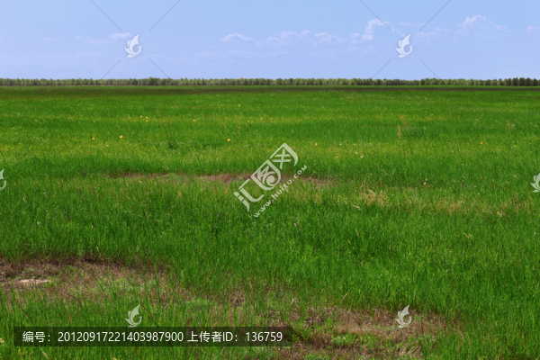 草原風(fēng)景