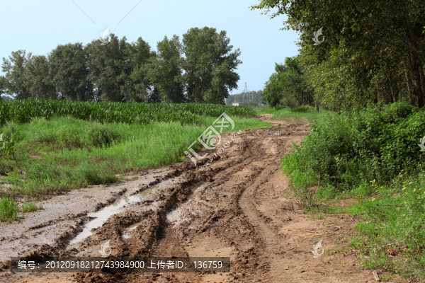 泥濘小路