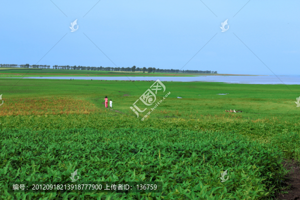 草原風景