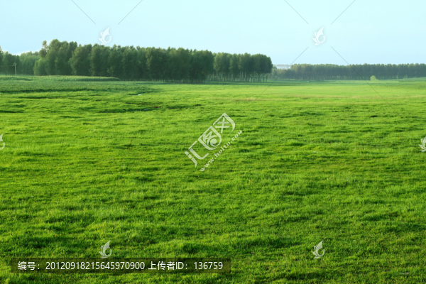 草原風景