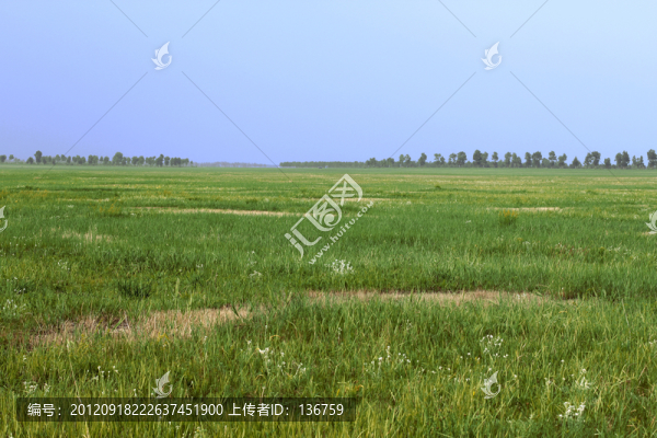 草原風(fēng)景