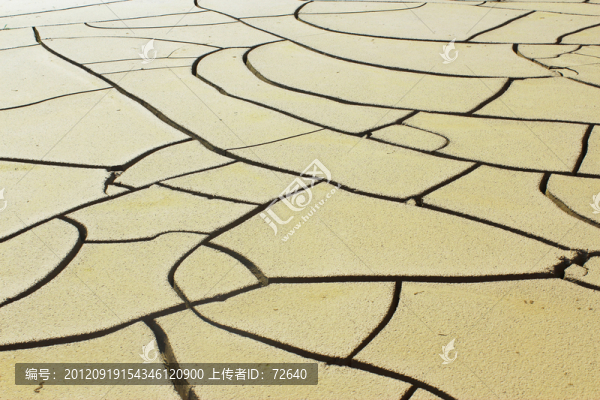 黃河灘