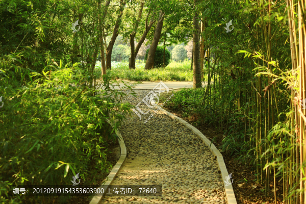 羊腸小路