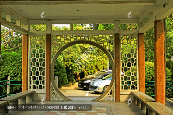 庭院
