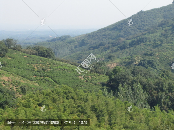 茶山,施集