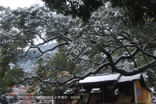 廟宇