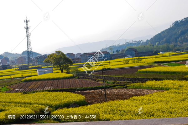 田園風(fēng)光