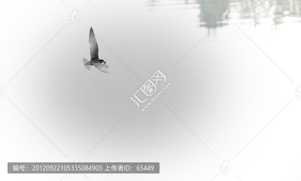 翔