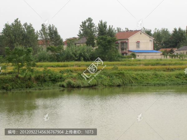 農(nóng)村一景