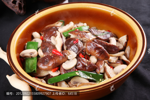 鮮菌子缽