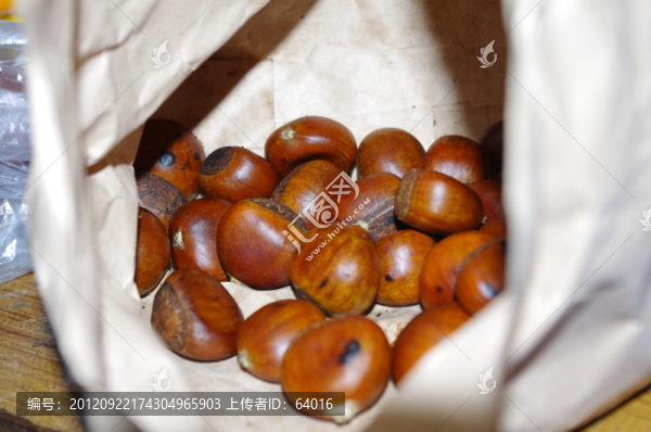 板栗