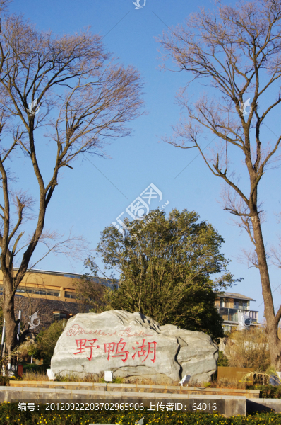 野鴨湖