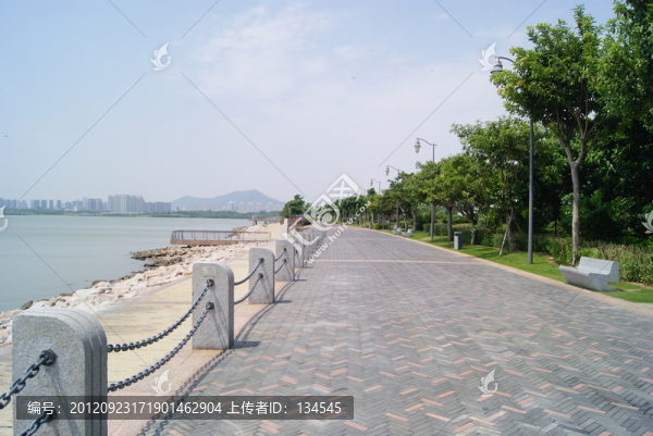 深圳灣景觀