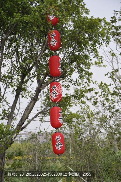 紅燈籠