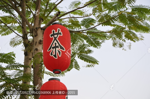 紅燈籠
