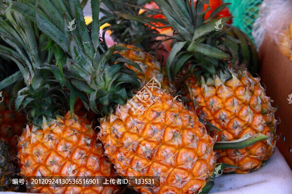菠蘿