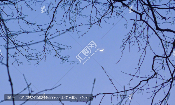 上弦月