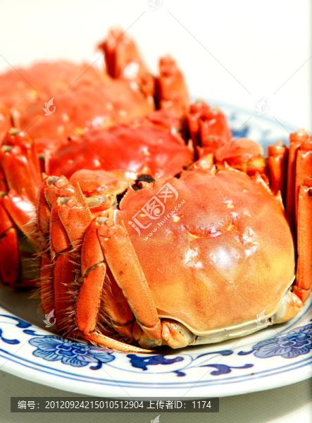 大閘蟹