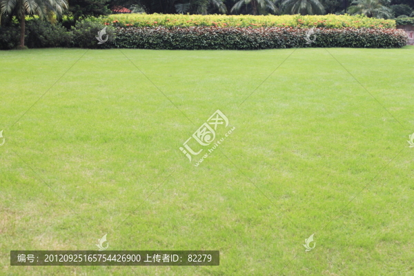 草坪