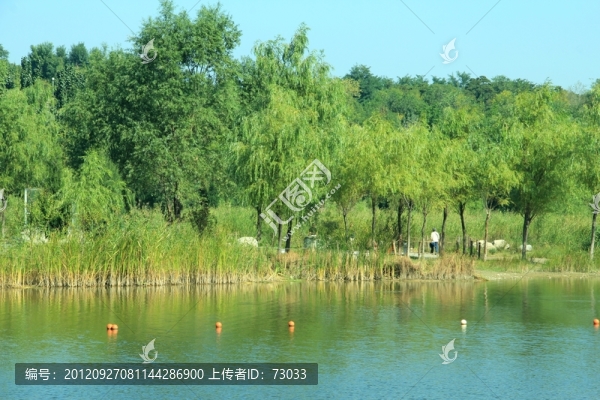 森林公園,水邊小景