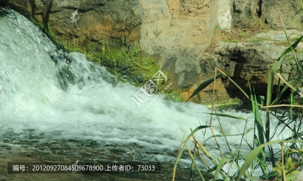 森林公園,,,小溪流水