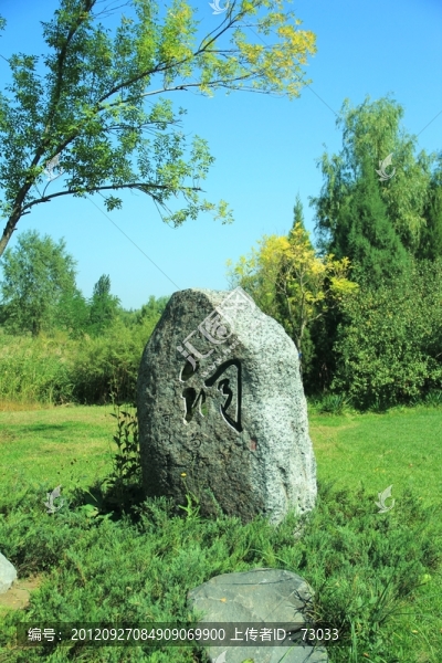 森林公園,,綠地