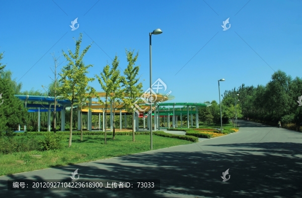 森林公園,,路旁綠地廣場