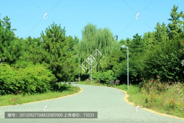森林公園,,林蔭路