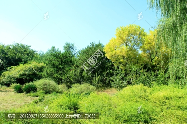森林公園秋景
