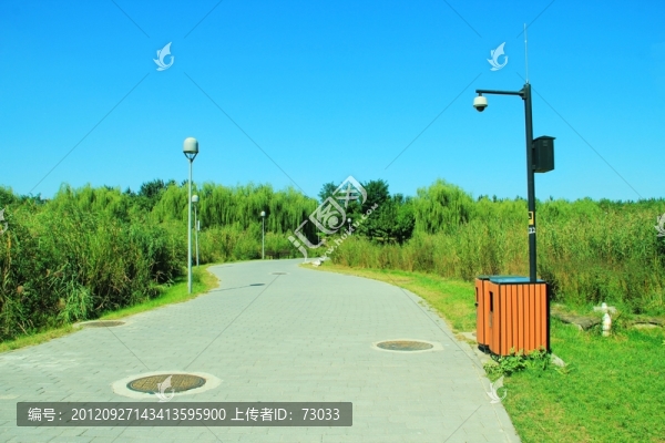 森林公園的路