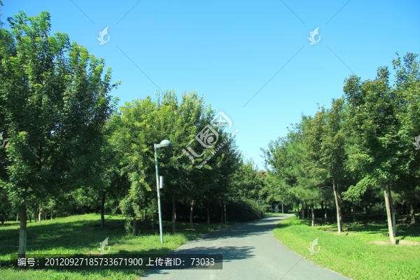 森林公園,,小路