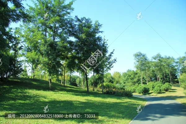 森林公園,綠化