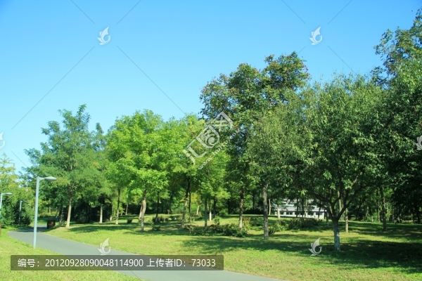 森林公園,,秋景,,,沿途風(fēng)景