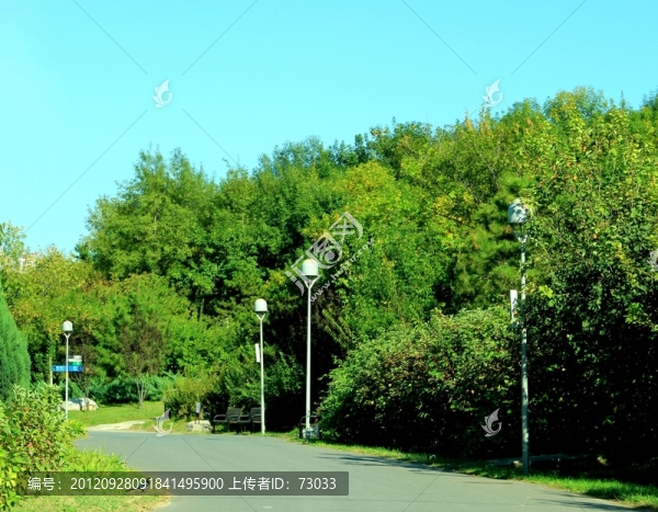 森林公園的路,,沿途風(fēng)景