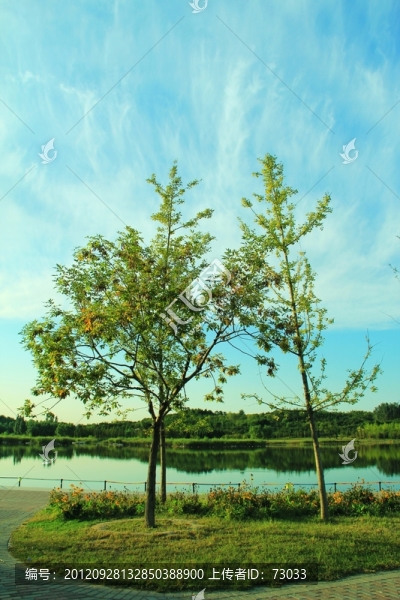 森林公園,,,秋天的樹,,,沿途風景