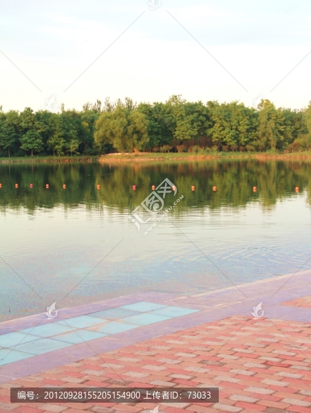 森林公園,,湖泊,,,沿途風(fēng)景