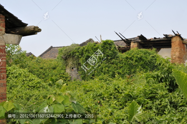 嶺南古村落,從化錢崗村