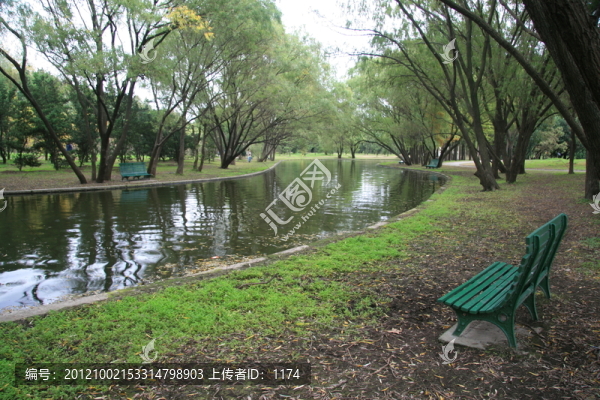寧靜的公園湖邊