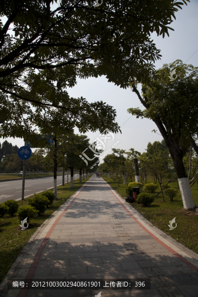 林蔭道