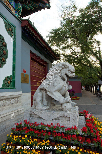 文津樓石獅子