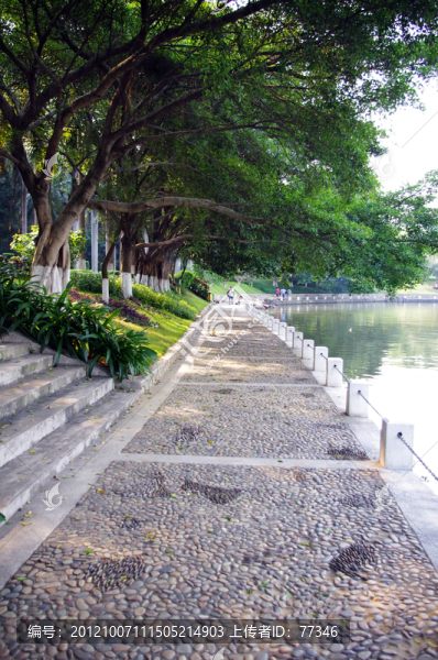 虎英郊野公園湖邊走道