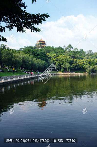 虎英郊野公園湖光山色