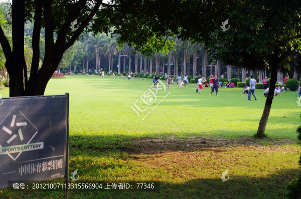 虎英郊野公園草地