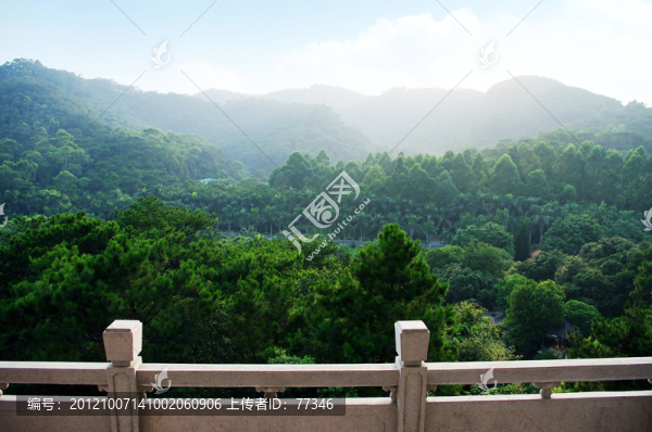 東莞虎英郊野公園,叢林風(fēng)光