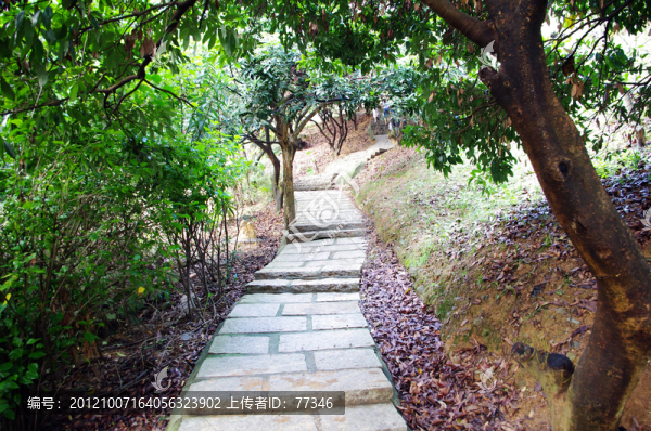山間小路